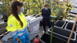Quienes sustituyan las multas por acciones de limpieza saldrán 