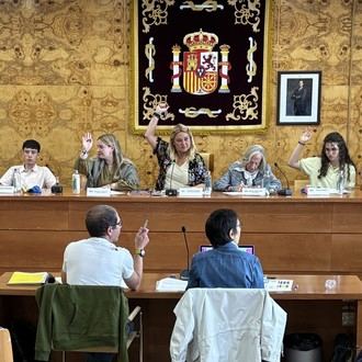 Jóvenes de Torrelodones abordan la salud mental en un pleno escolar