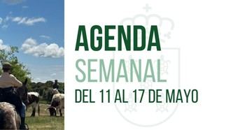 Agenda cultural y festiva en Galapagar: Premios San Isidro y Fiesta de la Trashumancia