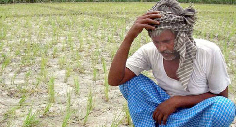 1.300 agricultores indios se han suicidado en el primer semestre de 2015