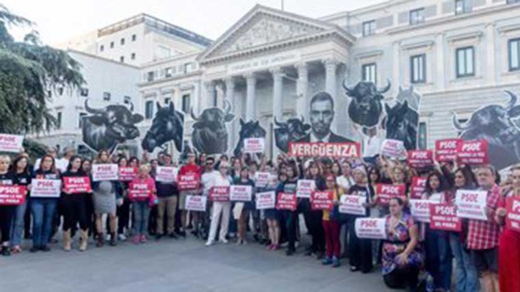 Los firmantes de la ILP 'No es mi cultura', que propone la derogación de la tauromaquia como patrimonio cultural, se concentran frente al Congreso de los Diputados, a 7 de octubre de 2025