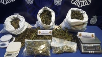 Seis detenidos por tráfico de drogas y montar un 'sofisticado' cultivo de mariuhana