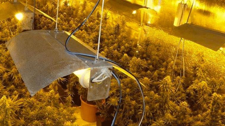 Tres detenidos y tres plantaciones de marihuana ` 'indoor' desmanteladas en la Cañada Real