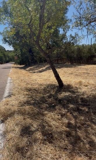 Acciones para prevenir incendios en la localidad