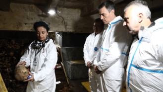 El Gobierno recurrirá las normas de Memoria de PP y Vox ante la ONU, el Parlamento Europeo y el Consejo Europeo