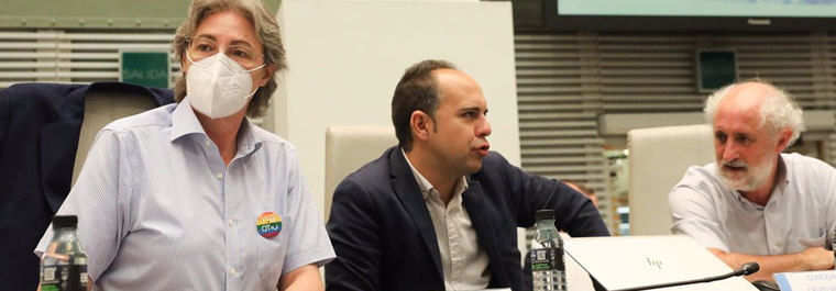 El Mixto cada uno por su lado: Los tres votarán de forma independiente