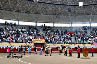 Fiestas Patronales en Moralzarzal: La Semana Grande de la Sierra 2025 se acerca