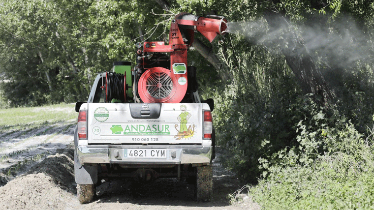 Continúan los trabajos contra la mosca negra y el mosquito tigre tras las lluvias y el calor