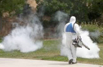 Arranca la campaña de fumigación contra los mosquitos 