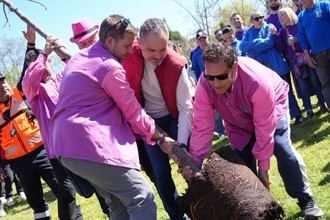 Celebración de los 'quintos de mayo' en Móstoles con plantación de árbol y fiesta vecinal