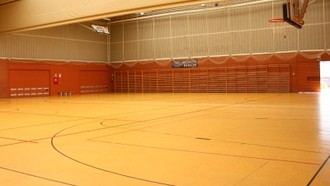 Renovación de tarimas deportivas en pabellones locales con inversión de 450.000 euros