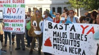 Notifican al juzgado el brote de mosquitos y mosca negra de Perales