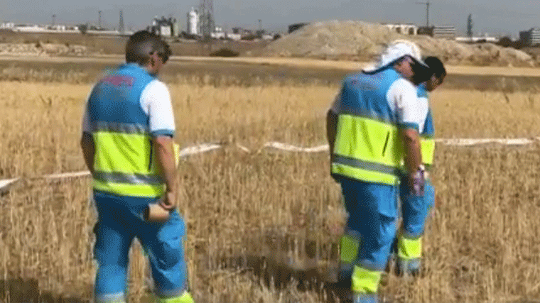 Hallan el cadáver de una mujer de 77 años en una zona de campo de Perales