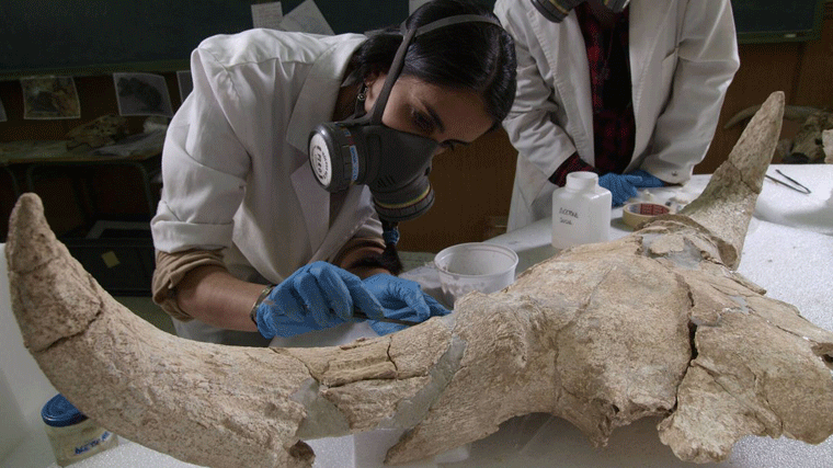 El Museo del Valle de los Neandertales en Pinilla del Valle abrirá en 2026