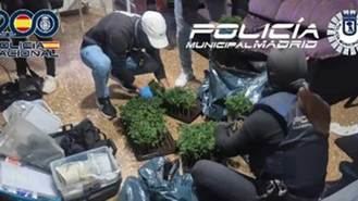 Desmantelados tres narcopisos en Puente de Vallecas del mismo clan familiar y un cuarto en Centro