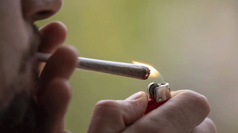 El cannabis es la primera sustancia consumida entre los menores de 24 años