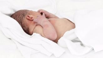 Los nacimientos crecieron un 6,5% en la región en enero, las defunciones un 0,37%