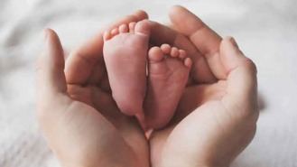 Las familias podrán recibir 1.100 euros por nacimiento o adopción de hijos