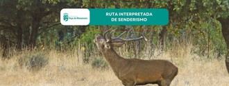 Descubre la ruta interpretada 'Con el lomo mojado' el 13 de septiembre