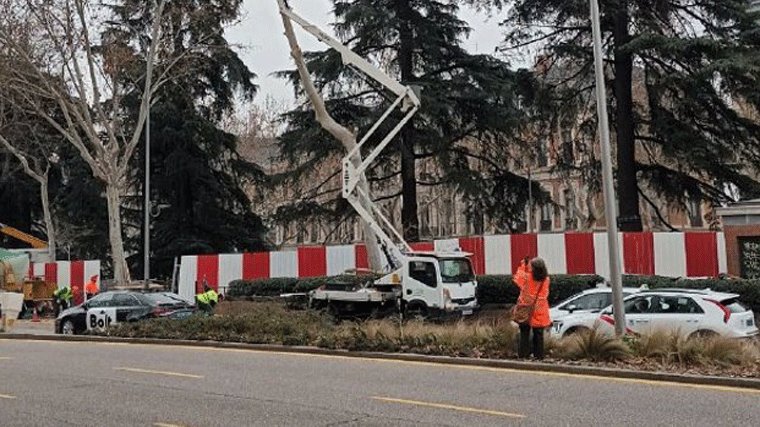 Retiro celebra un Pleno extraordinario a instancias de la izquierda contra las talas del Paisaje de la Luz