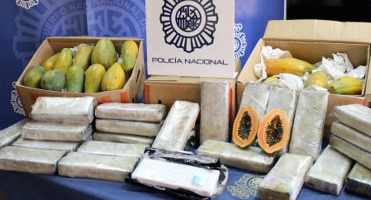 Incautados 32 kilos de cocaína ocultos en un cargamento de papayás
