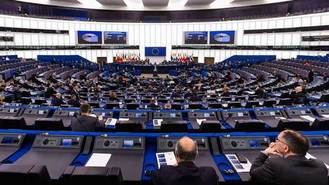 El Parlamento Europeo reclama fondos para garantizar un aborto 