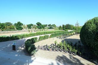 El Parque de las Comunidades: Un pulmón verde en Puente de Vallecas que promueve la biodiversidad española