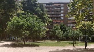 El Ayuntamiento limpia 48.000 m2 en el Parque Miraflores para plantar 4.000 árboles