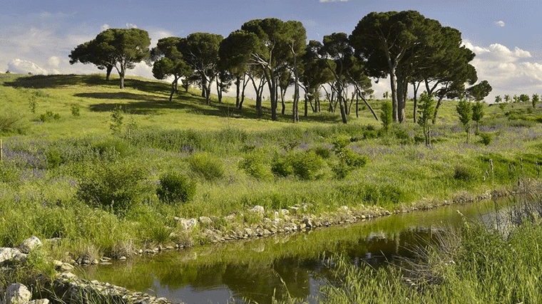 Las obras del futuro parque de Valdebebas comenzarán 'de forma inmediata'