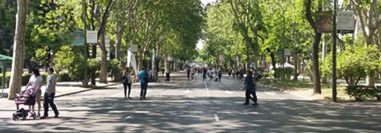 El eje Atocha-Colón peatonal el domindo y una hora gratis de BiciMad