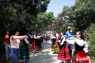 Inscripciones abiertas para el concurso de carretas en la romería de la Virgen de la Esperanza