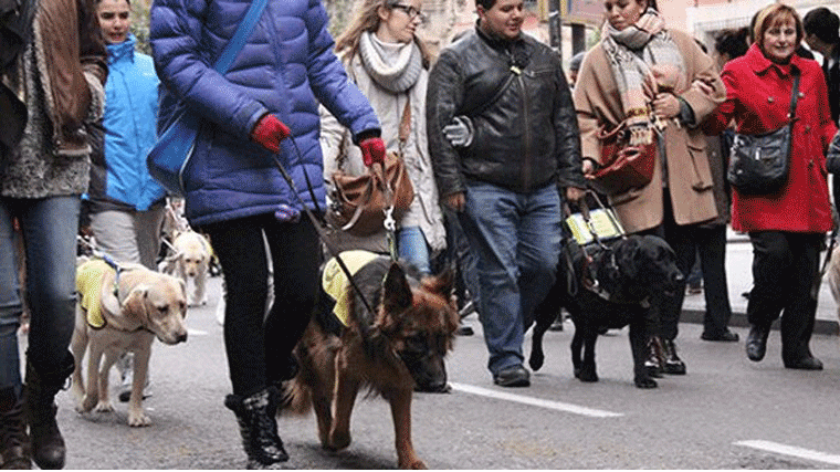 Cerradas al tráfico las calles Hortaleza y Farmacia por las fiestas de San Antón