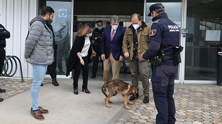 Kenzo,un benjamín de tres meses que se incorpora a la Policía Local