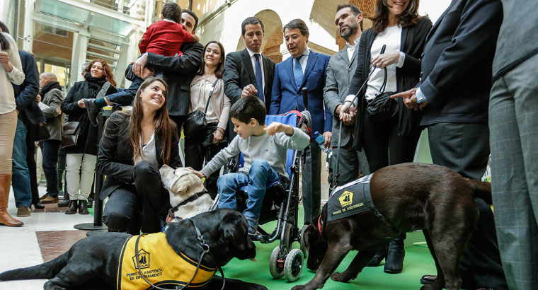 Los perros de las personas con discapacidad podrán entrar en todos los espacios públicos