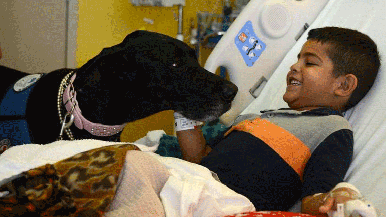 Los niños hospitalizados en el Rey Juan Carlos recibirán la visita de sus perros los martes