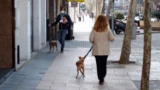 Puente de Vallecas fue el distrito con más perros y Latina el de más gatos de mascota