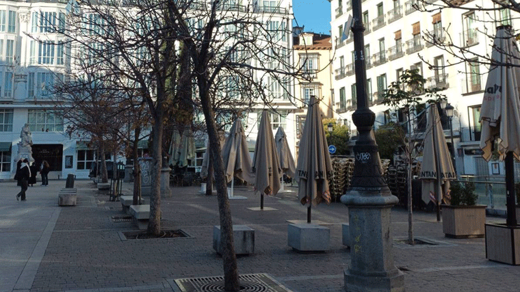 Maestre carga contra la tala del '85% del arbolado' de la plaza de Santa Ana para un parking privado