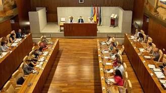 El Pleno aprueba la supresión de la tasa de mascotas y la rebaja de 300 euros a la Plusvalía municipal