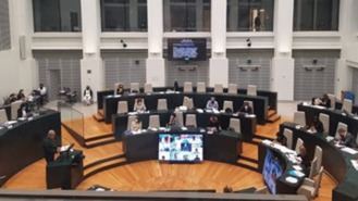 Carmena interrumpe el pleno para decir a Lidia y Santi que 