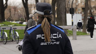 Detienen a una persona con 769 plantas de marihuana en un local comercial