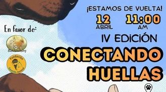 Carrera solidaria 'Conectando Huellas' en Pozuelo contra el maltrato animal