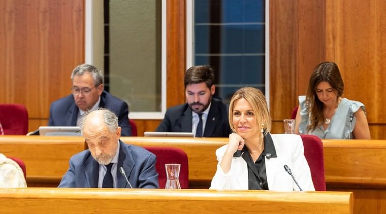 Nuevo programa de voluntariado en Pozuelo para combatir la soledad de los mayores