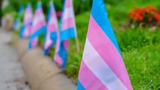 El PP registra cambios a sus leyes Trans y LGTBI con cambios sanitarios y a menores