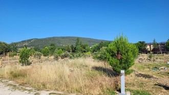 Reconocimiento a Antonio Zárate con la nueva Pradera que lleva su nombre