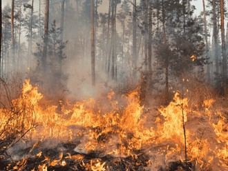 Llamado a la ciudadanía para prevenir incendios ante la ola de calor