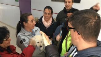 El Programa de Ocio Inclusivo para personas con discapacidad continuará en 2019