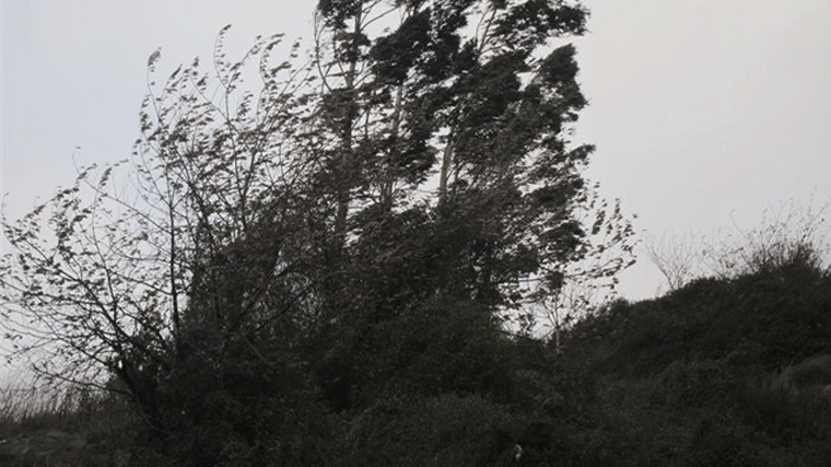 Alerta amarilla por rachas de viento de hasta 80 km/h en la sierra