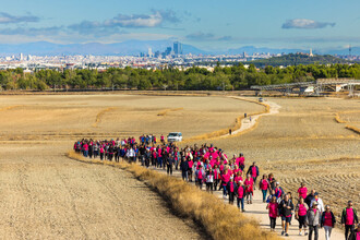 Éxito en la Marcha Solidaria entre Pinto y Valdemoro con más de 1,000 participantes