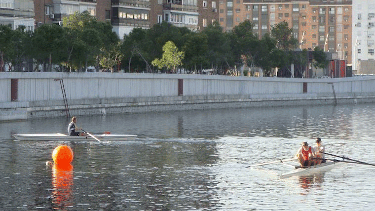 Los remeros piden ayuda para seguir en el Manzanares ante la 'persecución' municipal