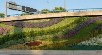 Inician la instalación de jardines verticales en la M-30 de Madrid